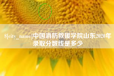 吕梁中国消防救援学院山东2020年录取分数线是多少