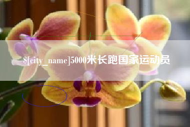 吕梁5000米长跑国家运动员