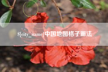 吕梁中国地图格子画法
