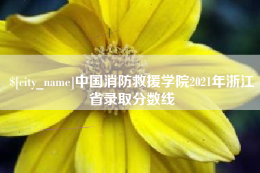 吕梁中国消防救援学院2021年浙江省录取分数线