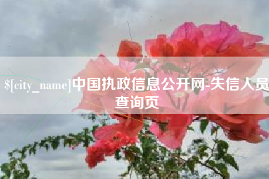 吕梁中国执政信息公开网-失信人员查询页