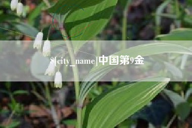 吕梁中国第9金
