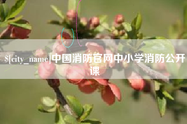 吕梁中国消防官网中小学消防公开课
