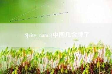 吕梁中国几金牌了