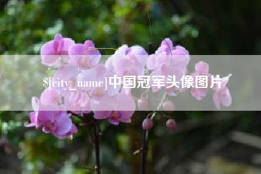 吕梁中国冠军头像图片