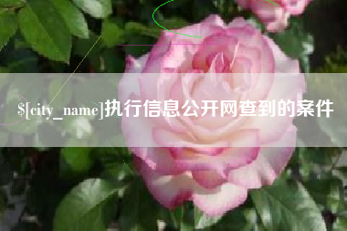 吕梁执行信息公开网查到的案件
