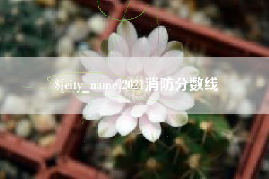 吕梁2021消防分数线
