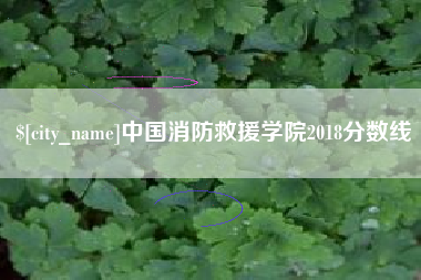 吕梁中国消防救援学院2018分数线