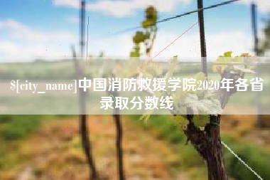 吕梁中国消防救援学院2020年各省录取分数线