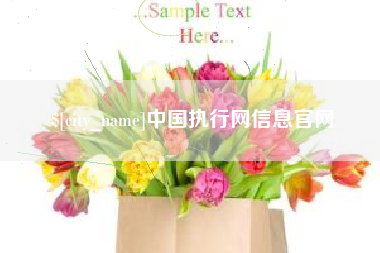 吕梁中国执行网信息官网