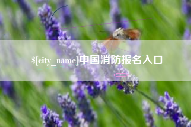 吕梁中国消防报名入口
