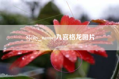 吕梁九宫格龙图片