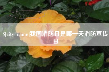 吕梁我国消防日是哪一天消防宣传日