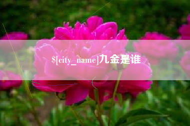 吕梁九金是谁
