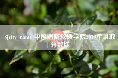 吕梁中国消防救援学院2019年录取分数线