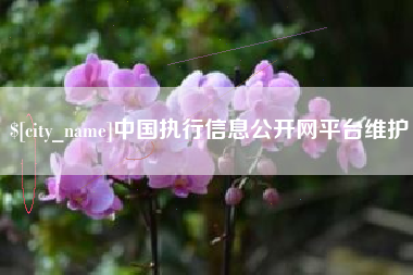 吕梁中国执行信息公开网平台维护