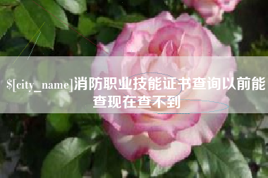 吕梁消防职业技能证书查询以前能查现在查不到
