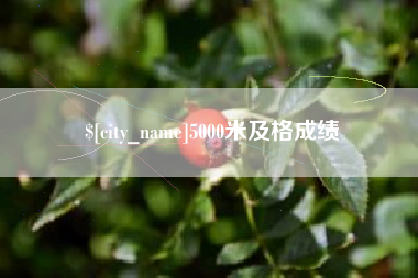 吕梁5000米及格成绩