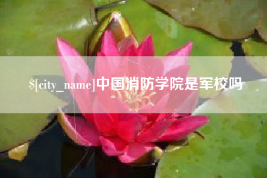 吕梁中国消防学院是军校吗