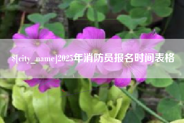 吕梁2025年消防员报名时间表格