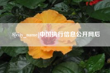 吕梁中国执行信息公开网后