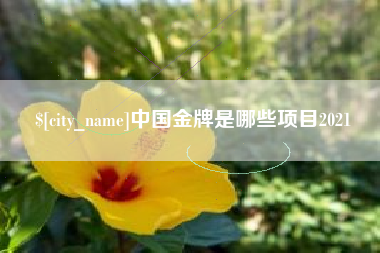 吕梁中国金牌是哪些项目2021