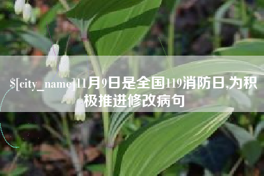 吕梁11月9日是全国119消防日,为积极推进修改病句