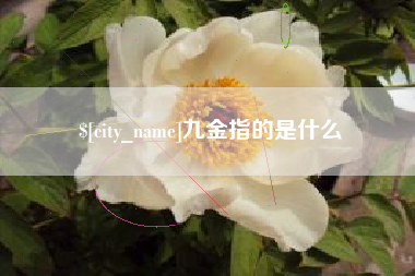 吕梁九金指的是什么