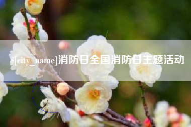 吕梁消防日全国消防日主题活动