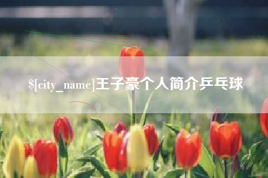 吕梁王子豪个人简介乒乓球