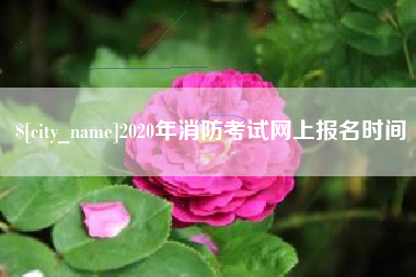 吕梁2020年消防考试网上报名时间