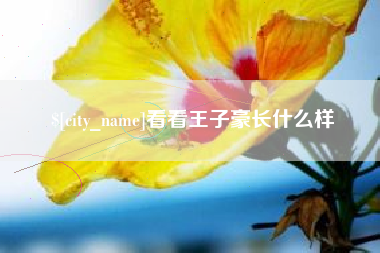 吕梁看看王子豪长什么样