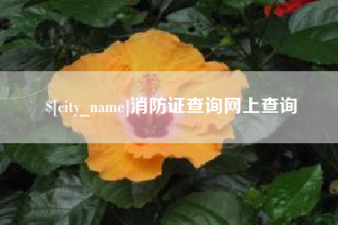 吕梁消防证查询网上查询