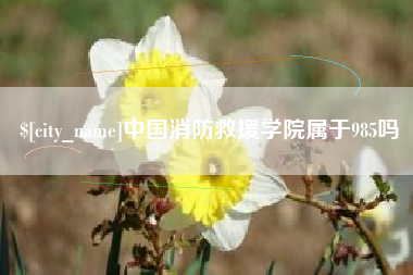 吕梁中国消防救援学院属于985吗