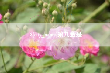 吕梁第九金是