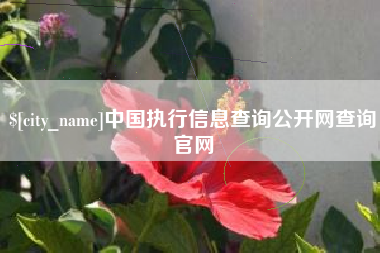 吕梁中国执行信息查询公开网查询官网