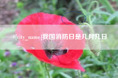 吕梁我国消防日是几月几日
