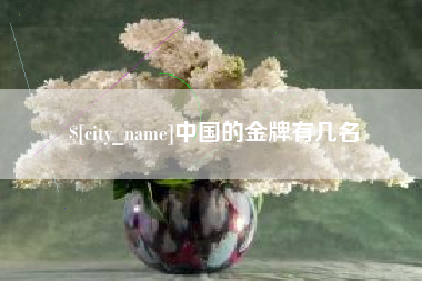 吕梁中国的金牌有几名