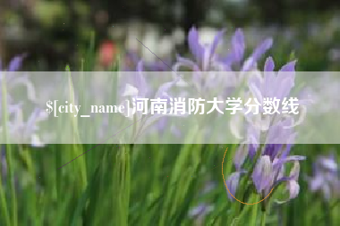 吕梁河南消防大学分数线