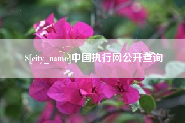 吕梁中国执行网公开查询