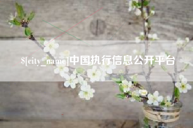 吕梁中国执行信息公开平台