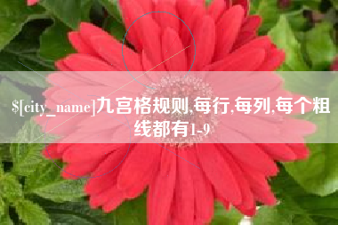 吕梁九宫格规则,每行,每列,每个粗线都有1-9