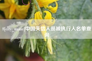 吕梁中国失信人员被执行人名单查询
