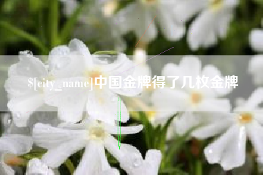 吕梁中国金牌得了几枚金牌