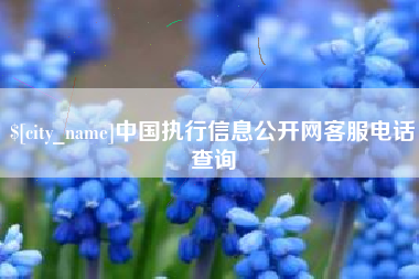 吕梁中国执行信息公开网客服电话查询