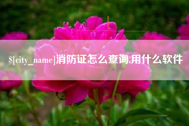 吕梁消防证怎么查询,用什么软件