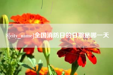 吕梁全国消防日的日期是哪一天