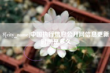 吕梁中国执行信息公开网信息更新时间是多久