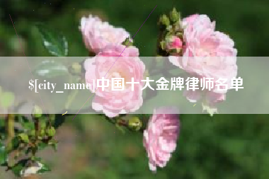吕梁中国十大金牌律师名单