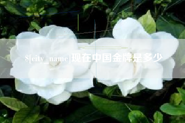 吕梁现在中国金牌是多少